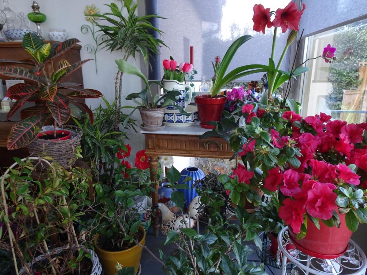 La Chapelle  B&B La Maison Des Collines Autour Chambres D'Hotes מראה חיצוני תמונה